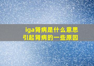 iga肾病是什么意思 引起肾病的一些原因